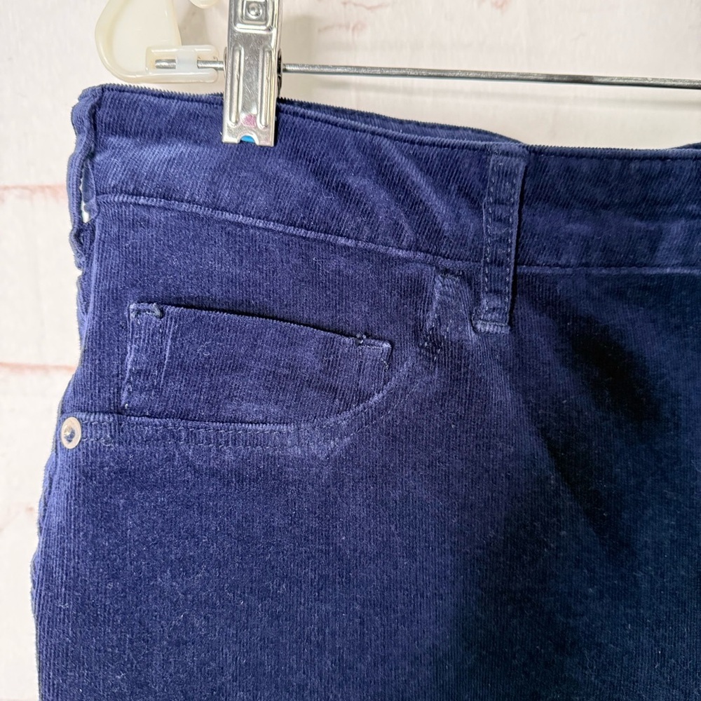 ANTHROPOLOGIE PILCRO Plus Size 32 High Rise Skinny Navy Corduroy 35โ Waist Jeans - Picture 9 of 16